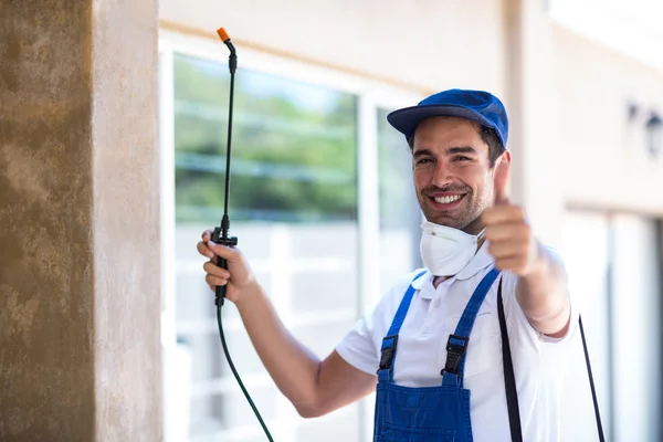 Port Hueneme Wasp Removal