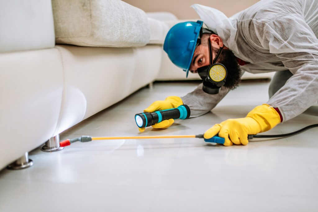 Port Hueneme Termite Control