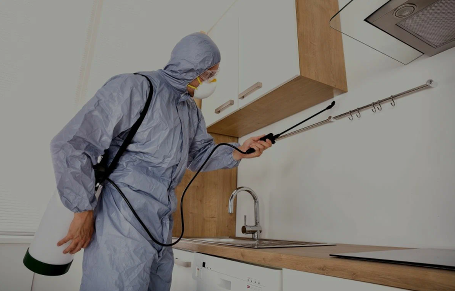 Port Hueneme pest managment